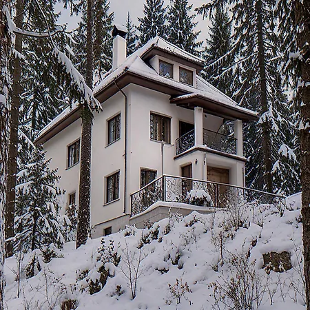 Vacation Yavor Borovec